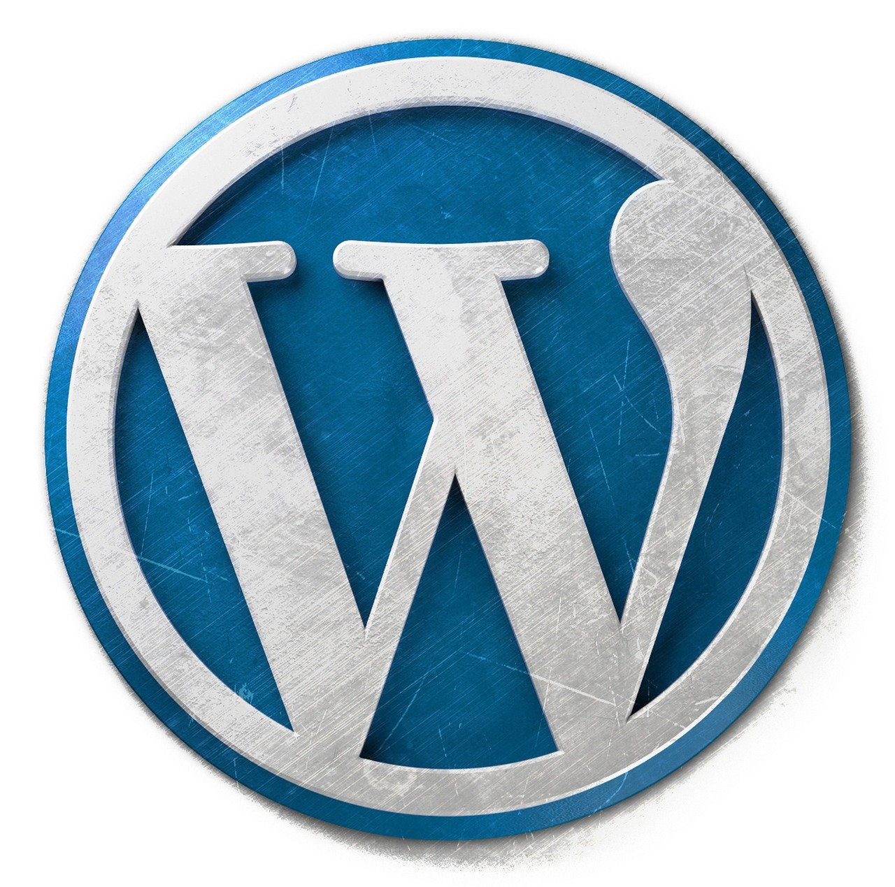 Ein WordPress Plug In installieren